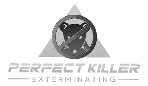 logo perfect killers