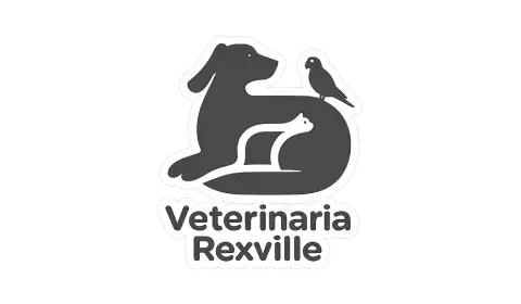 logoveterinaria rexville